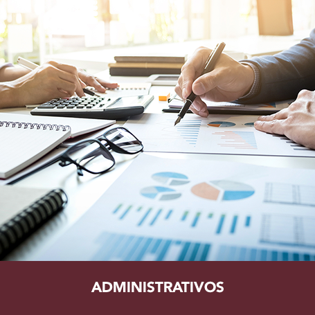 Cuervo & Cuervo Consultores