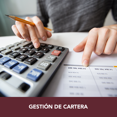 Cuervo & Cuervo Consultores
